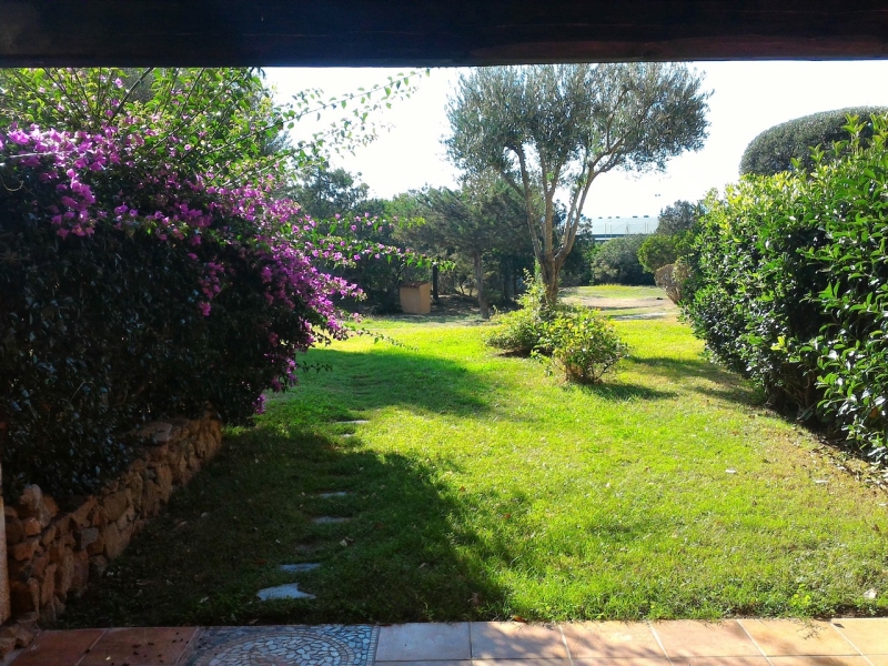 Giardino